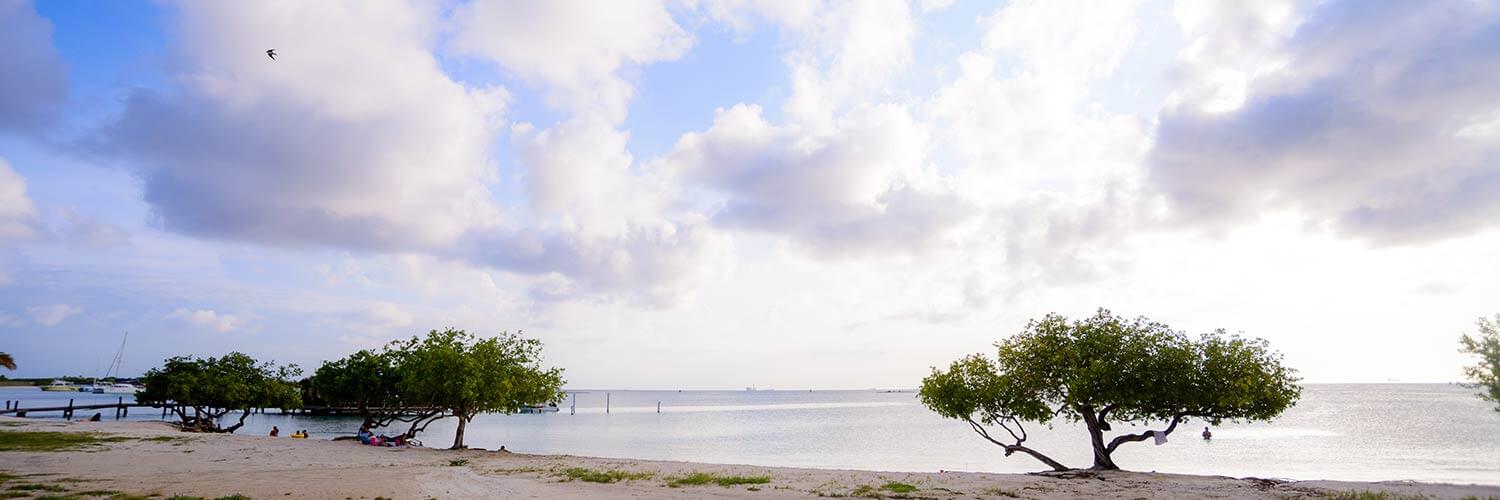 Willemstad, Curacao to Oranjestad, Aruba Flights Winair